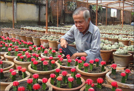 [-]Trồng[-]xương[-]rồng:[-]Nghề[-]chơi[-]lắm[-]công[-]phu